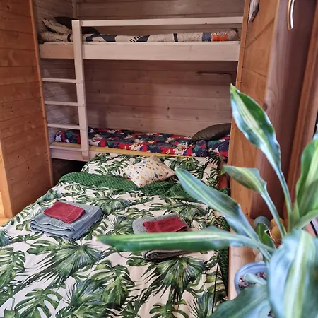 Beskidzka Oaza Appartement