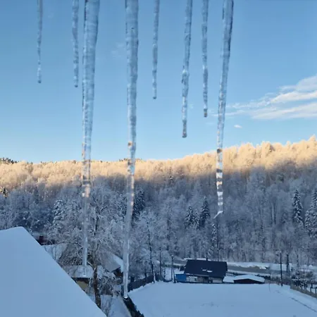Appartement Beskidzka Oaza